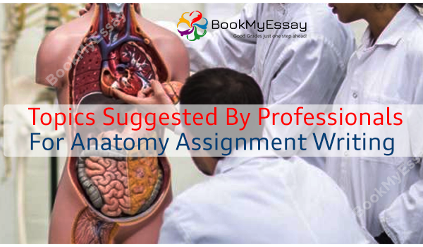 Anatomy-assignment-help