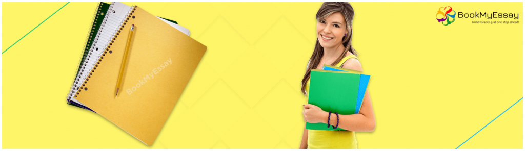 essay writing service