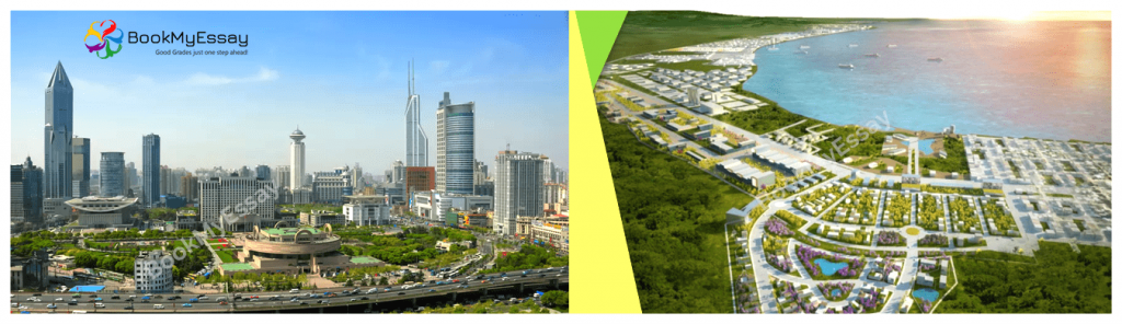 international-business-assignment-help