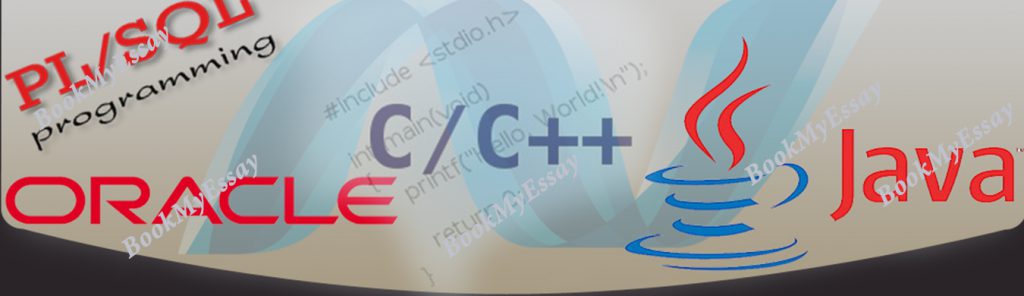 Java Programming assignment help