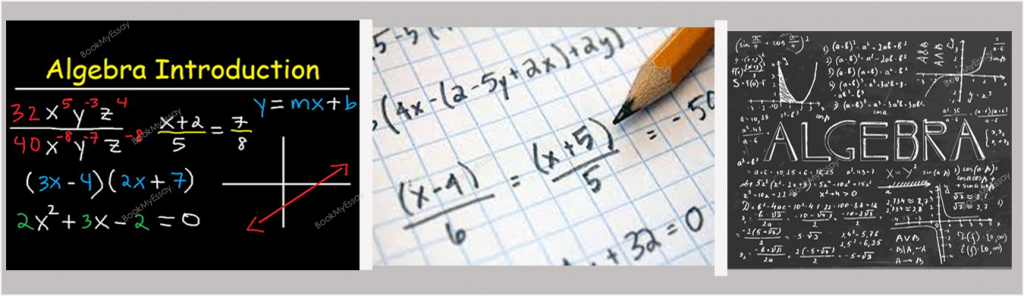 algebra-assignment-writing-help