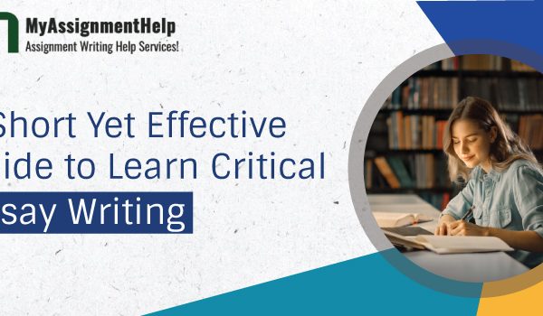 Critical Essay Writing Help online
