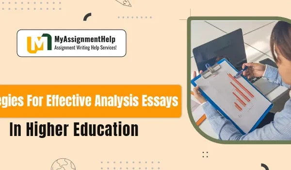 analysis essay writing help online