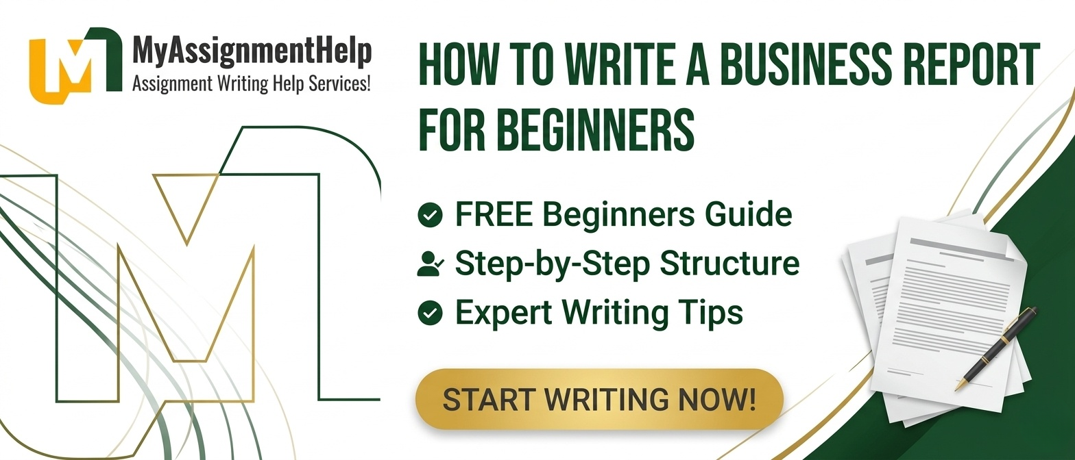 How to Write a Business Report for Beginners? Examples and Guidance