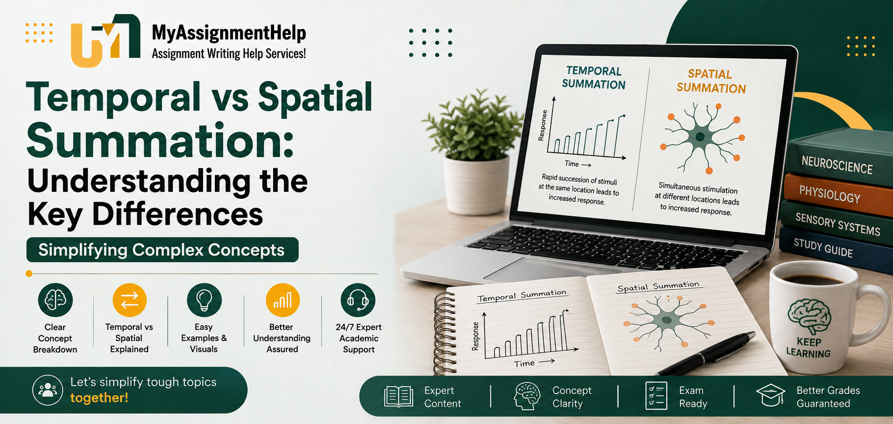 Temporal vs Spatial Summation comparison infographic for students.